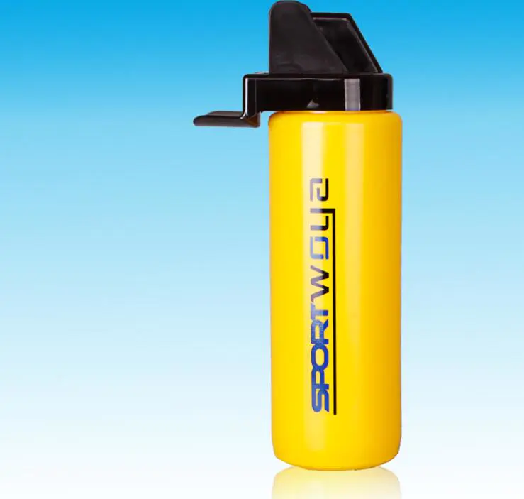 BPA Free Sport Water Bottle with Logo Printing, Promotion Gift Bottle, Sport Water Bottle, PE Water Bottle