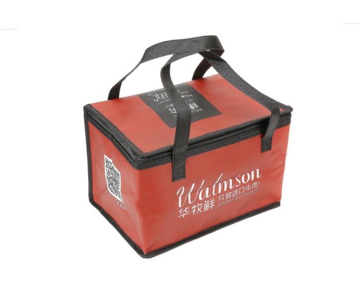 Custom 6 Pack Non Woven Insulated Thermal Lunch Cooler Bag