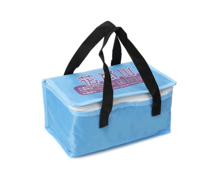 Eco Ice Cool Bag, Insulated Cooling Bag, Picnic Lunch Cooler Bag