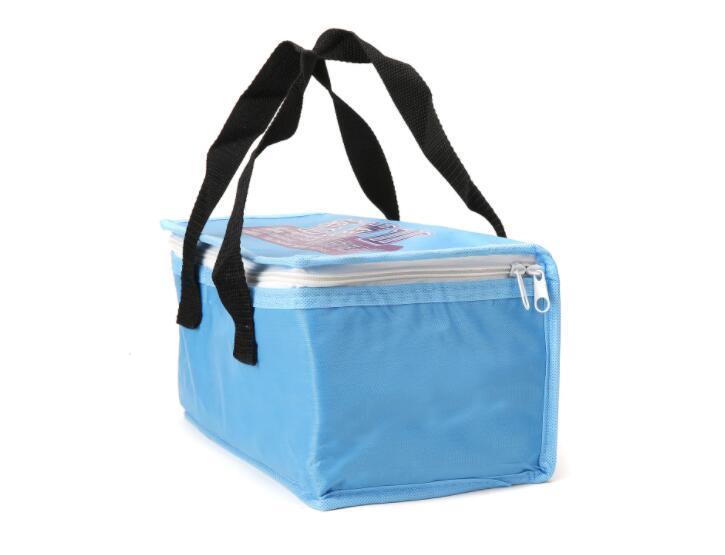 Eco Ice Cool Bag, Insulated Cooling Bag, Picnic Lunch Cooler Bag